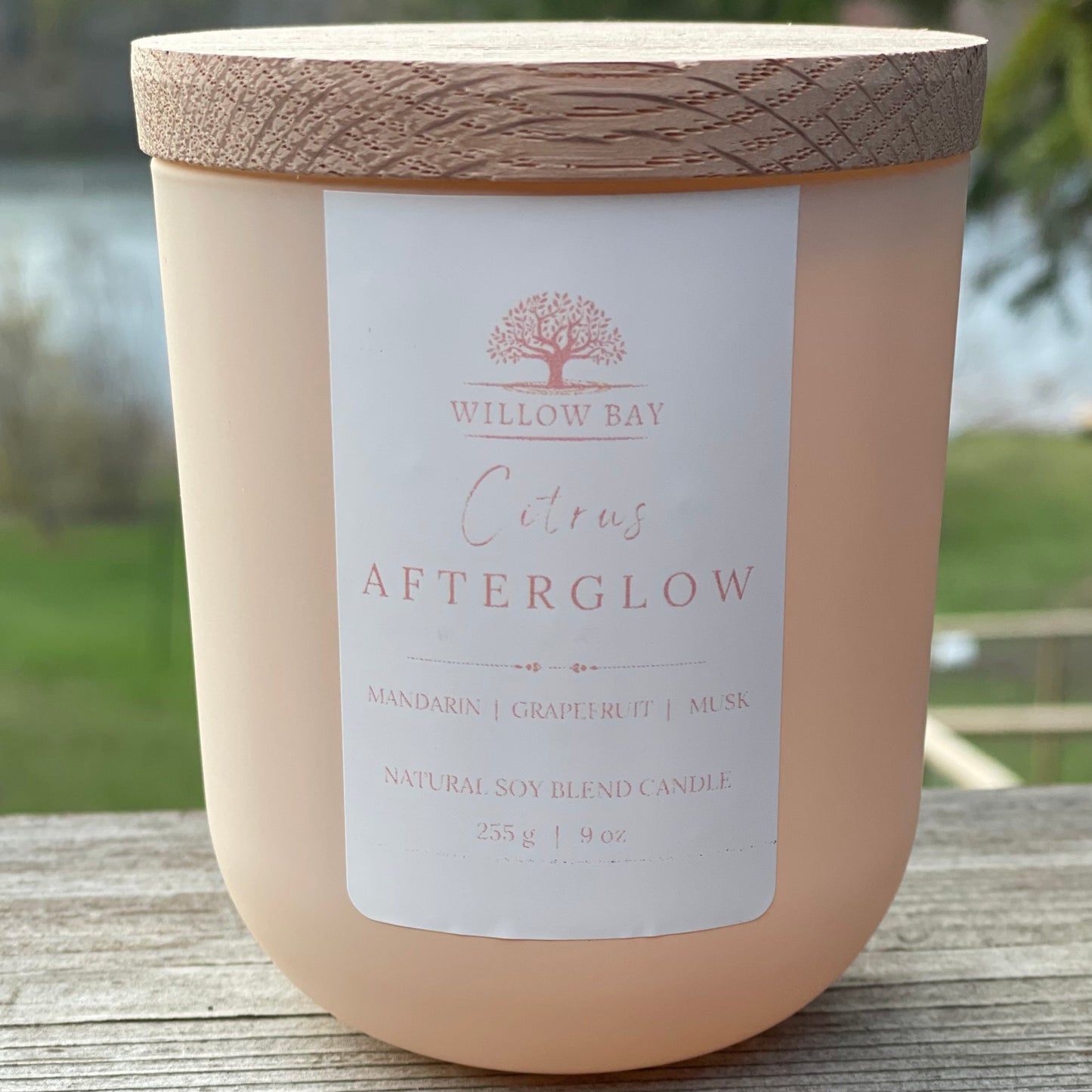 Vetiver + Cardamom 9 oz Candle
