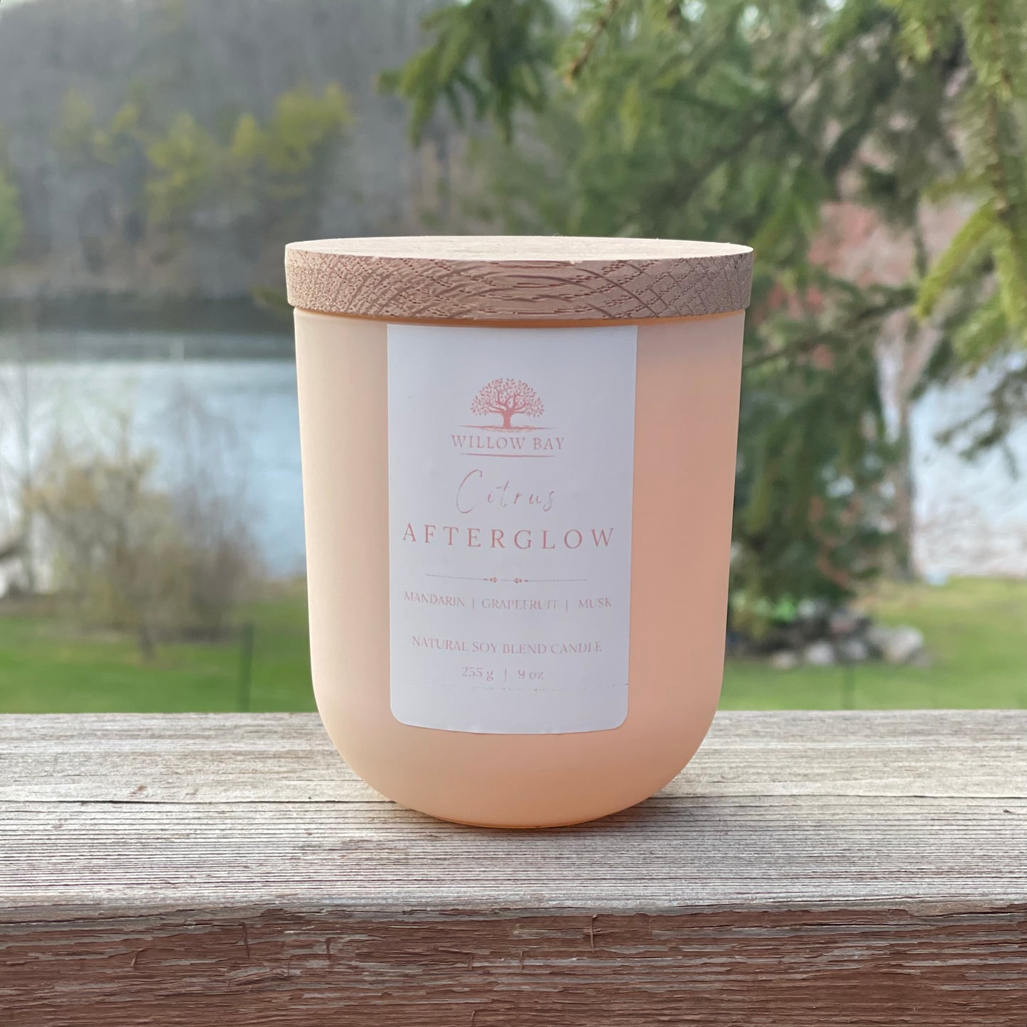 Vetiver + Cardamom 9 oz Candle