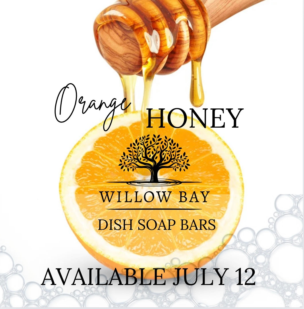 Dish Soap Bar - Orange Honey