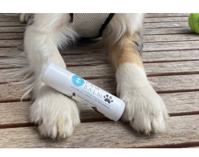 Organic Paw Balm