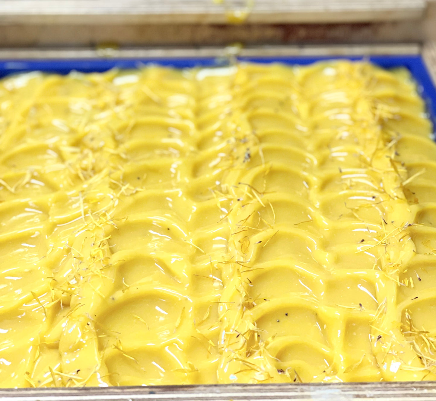 Lemon Poppy Goatmilk Soap