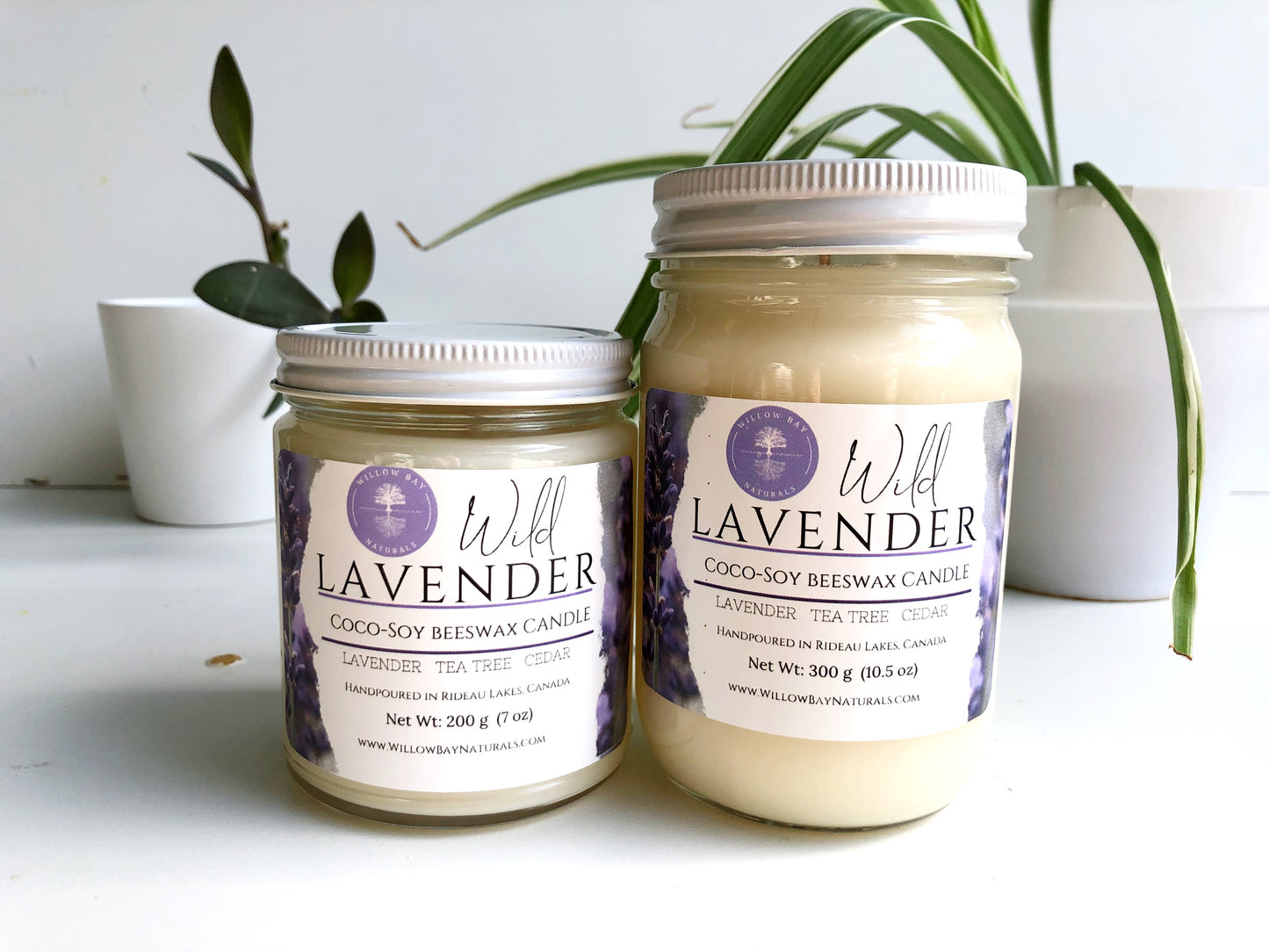Wild Lavender Candle