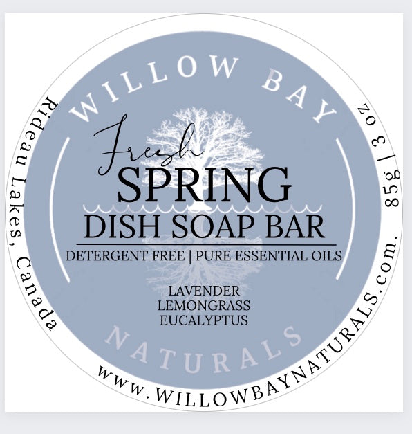 Dish Soap Bar