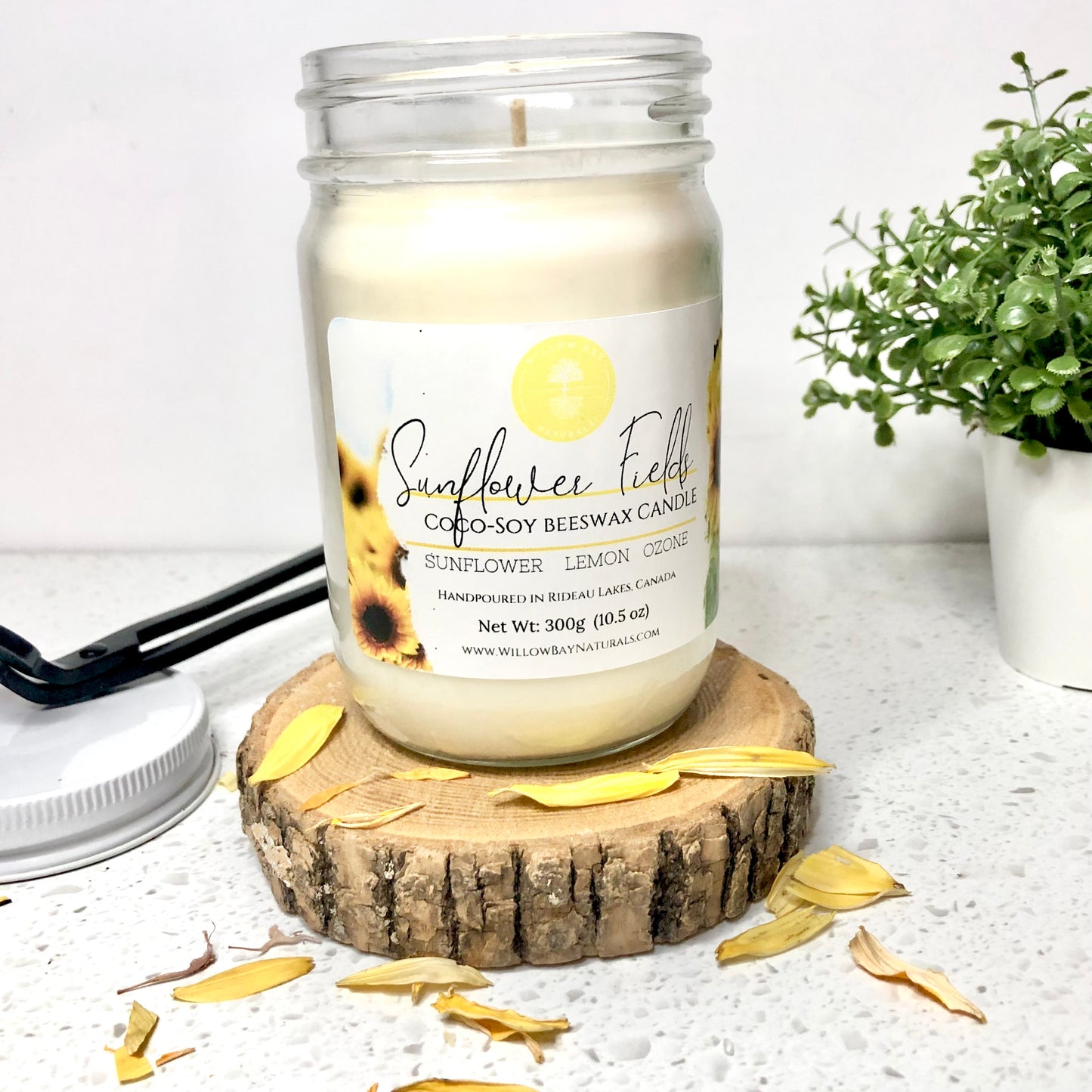 Sunflower FIelds -10 oz candle