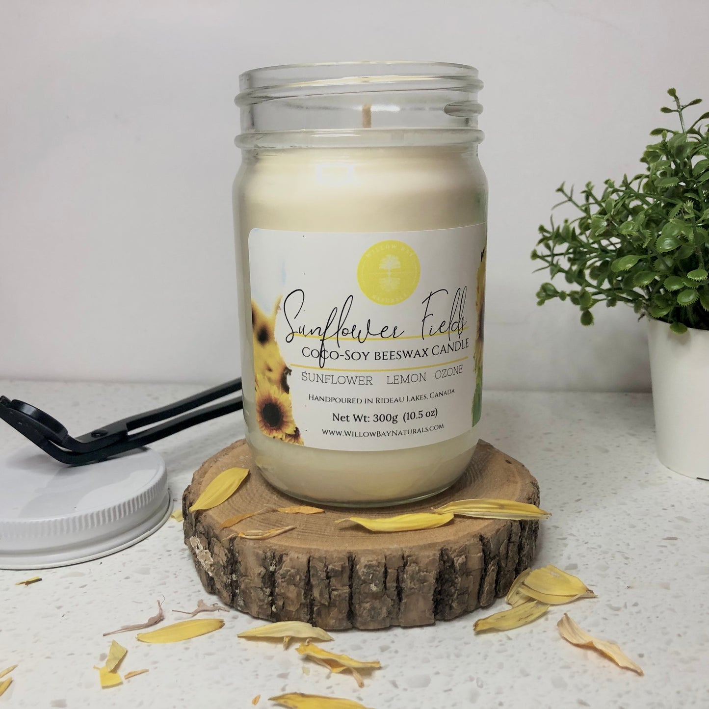 Sunflower FIelds -10 oz candle