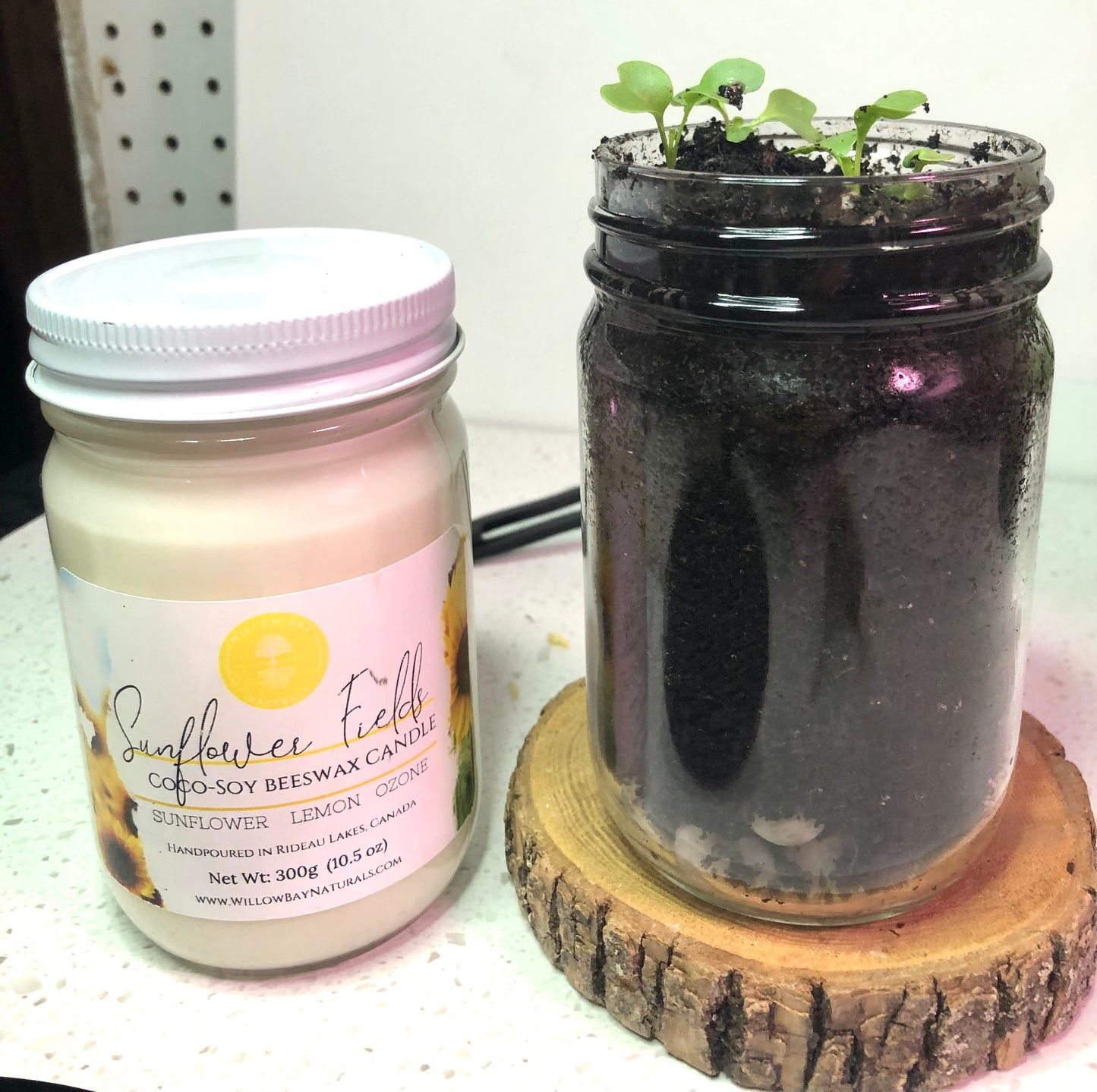 Sunflower FIelds -10 oz candle