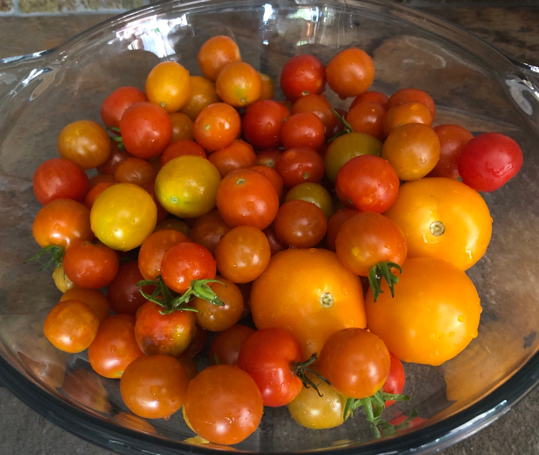 For the LOVE of Fresh Cherry Tomatoes